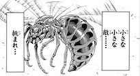 スズメバチ