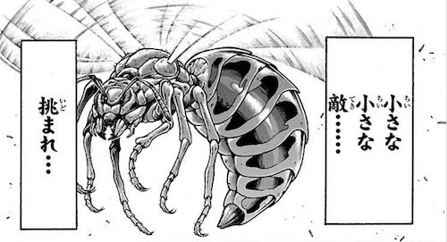 スズメバチ