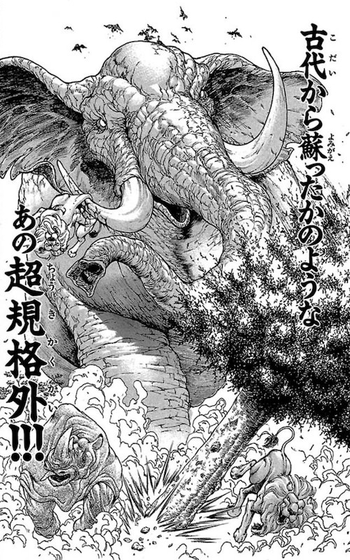 アフリカ象