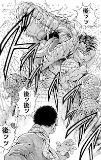 イリエワニ