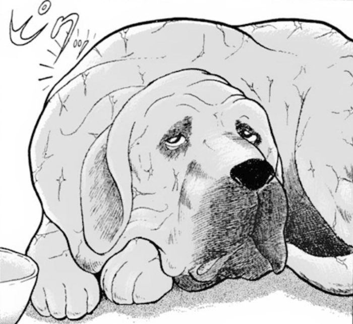 ムサシ（刃牙の飼い犬）