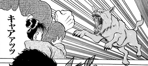 オオカミ
