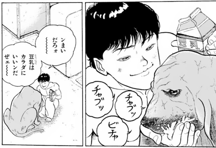 豆乳を飲むムサシ