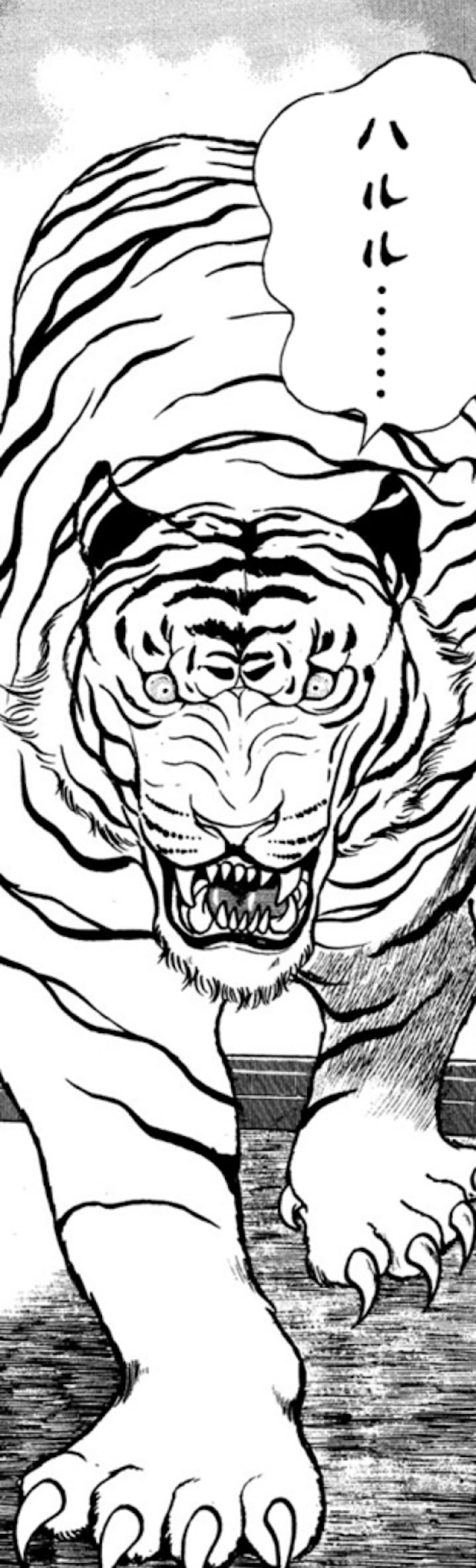 ホワイトタイガー