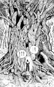 刃牙が「長老」と呼ぶ青木ヶ原樹海の大木