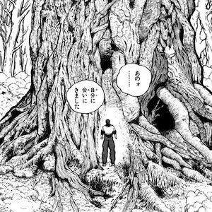 刃牙が「長老」と呼ぶ青木ヶ原樹海の大木