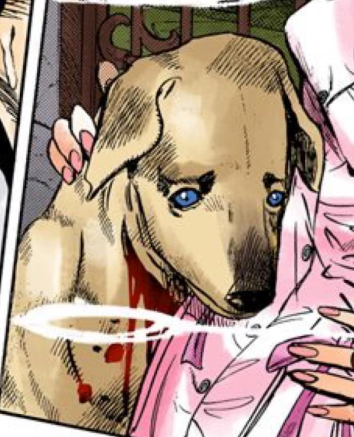 アーノルド（杉本鈴美の飼い犬の幽霊）