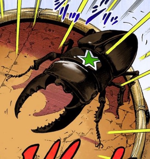 パラワンオオヒラタクワガタ