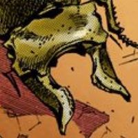 ゼンベルグオウゴンオニクワガタ