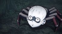 人面蜘蛛